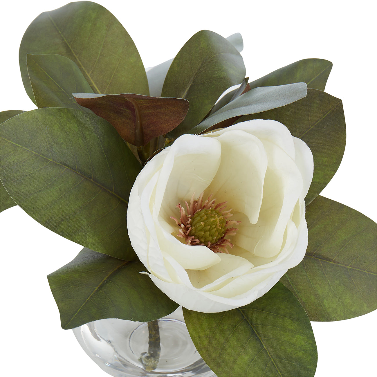 White Magnolia in Sphere Vase