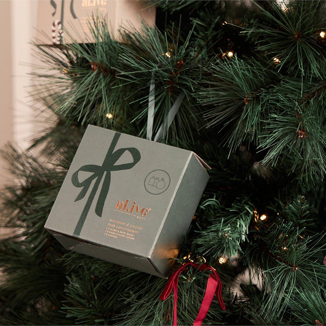 Body Care Travel Ornament Sea Cotton & Coconut