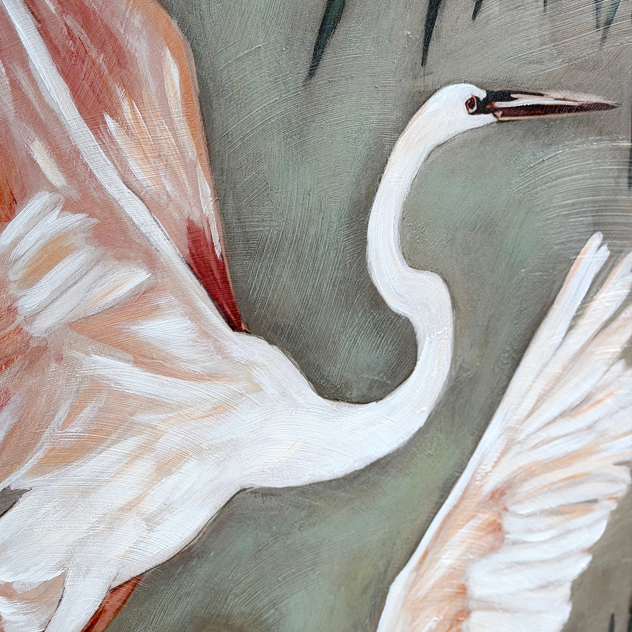 Tropical Herons Framed Canvas