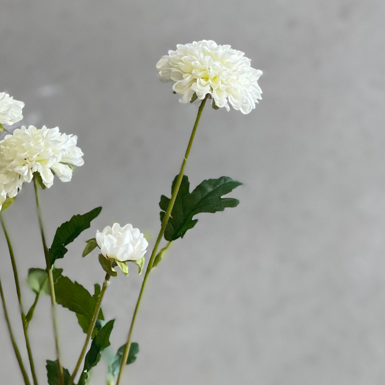 Pom Pom Spray 59cm