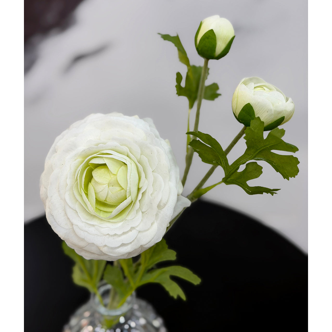 Ranuculus in Glass Vase