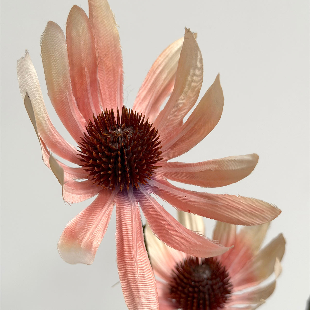 Rudbeckia Spray Dusky Pink 114cm