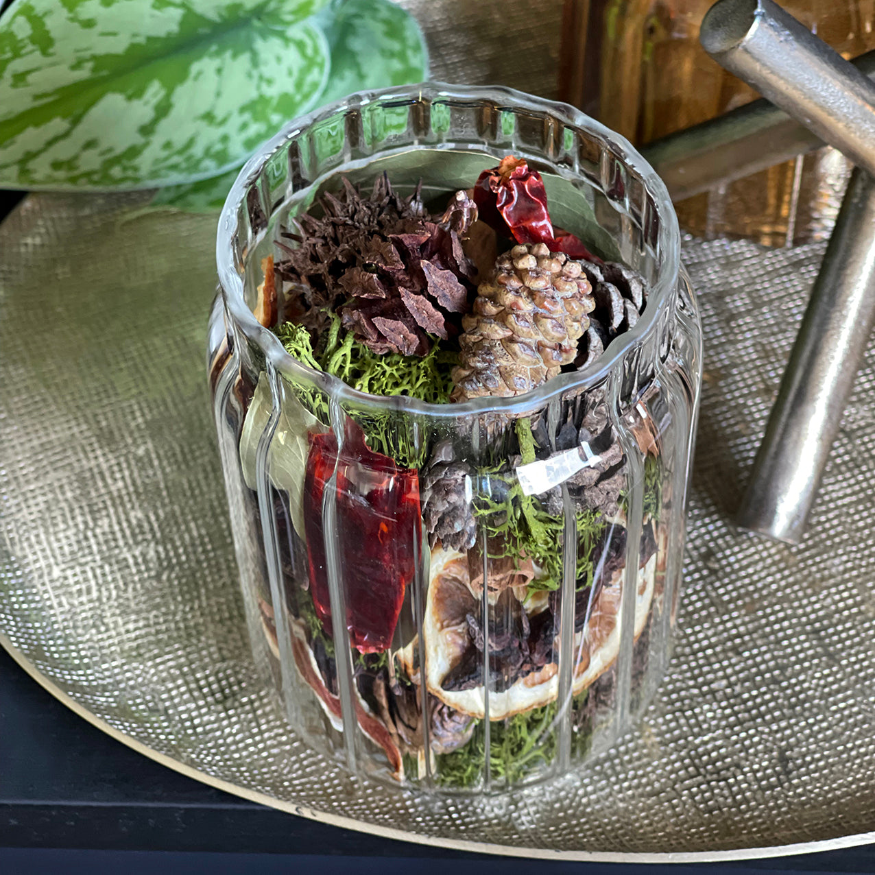 In To The Wild Aroma Wood Top Jars