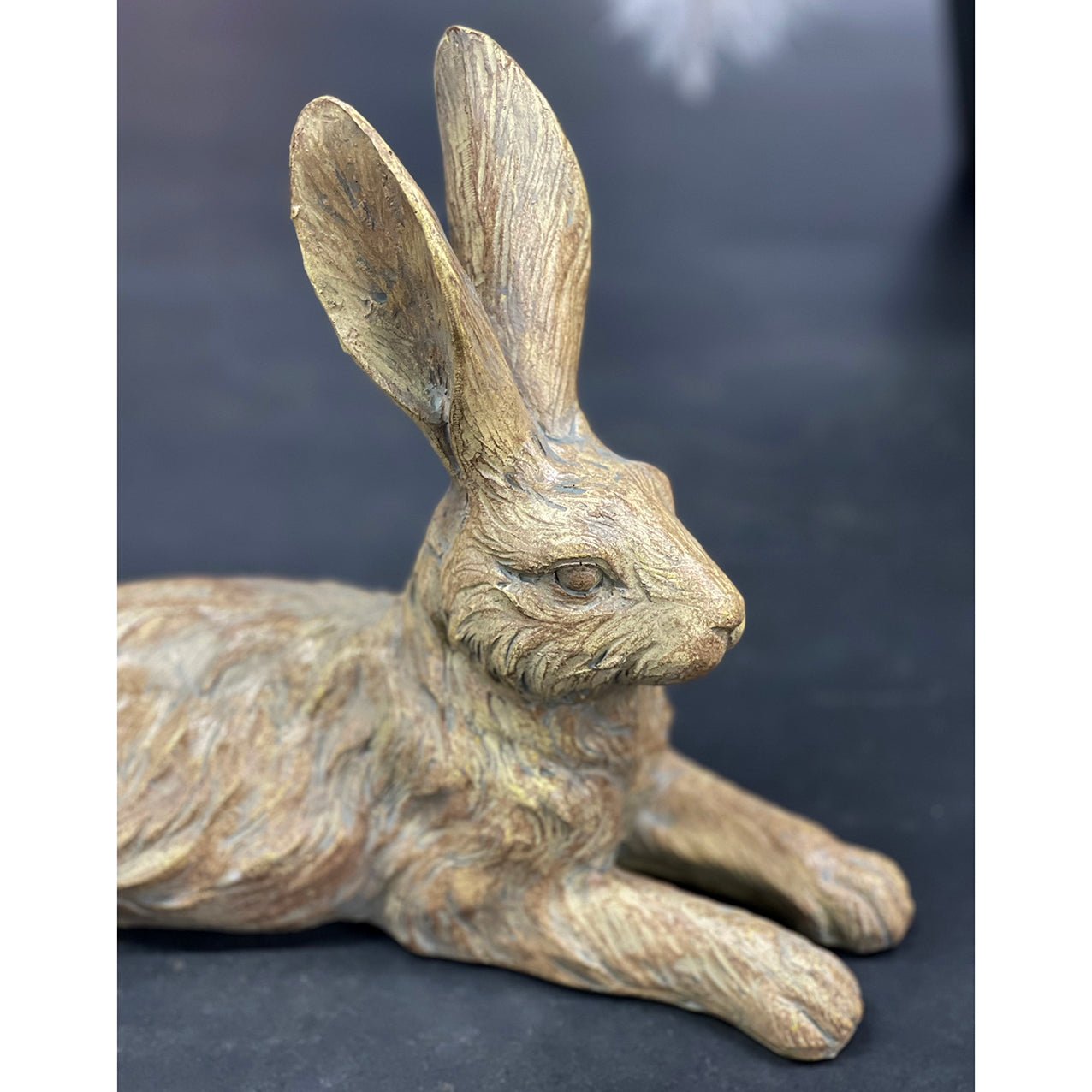 Pecan Country Hare Junior Resting