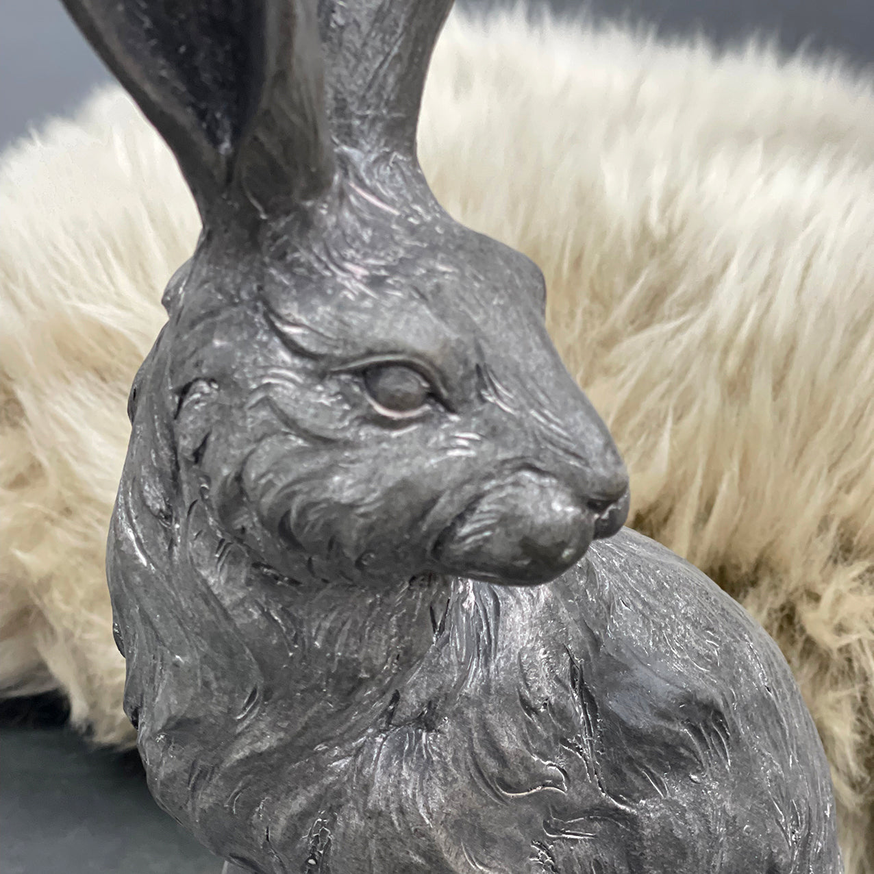 Truffle Country Hare Junior Standing