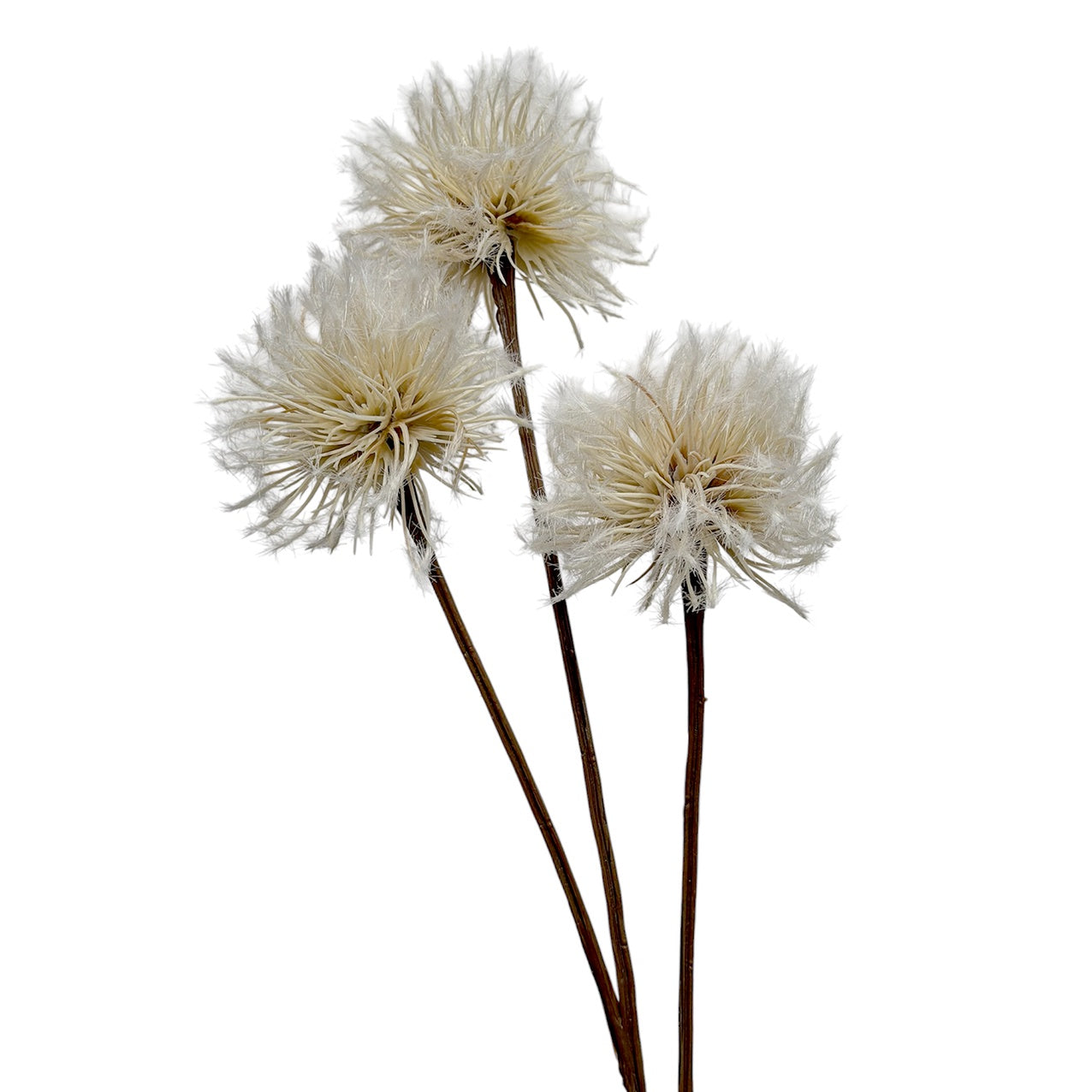 Dandelion Spray Natural/Brown 76cm