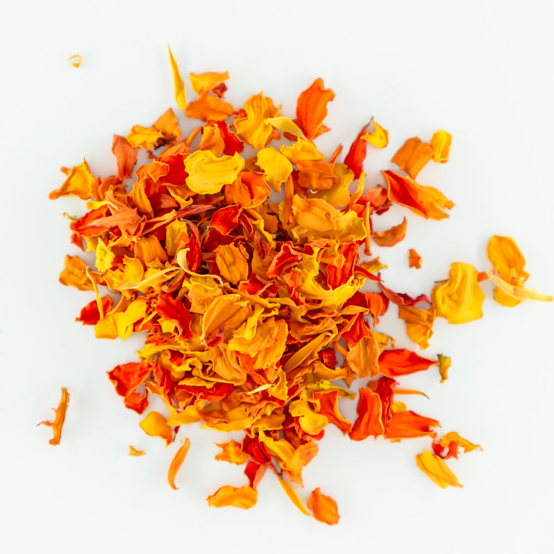 FN Lemons Edible Florets Summer Bloom