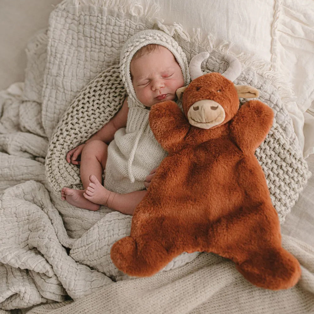 Henry the Highland Cow Hoochie Coochie