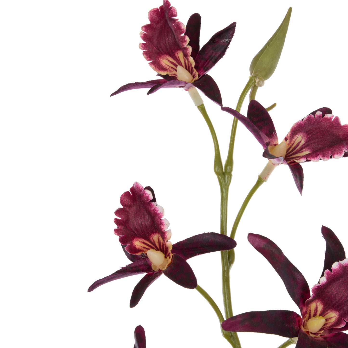 Dendrobium Spray 92cm