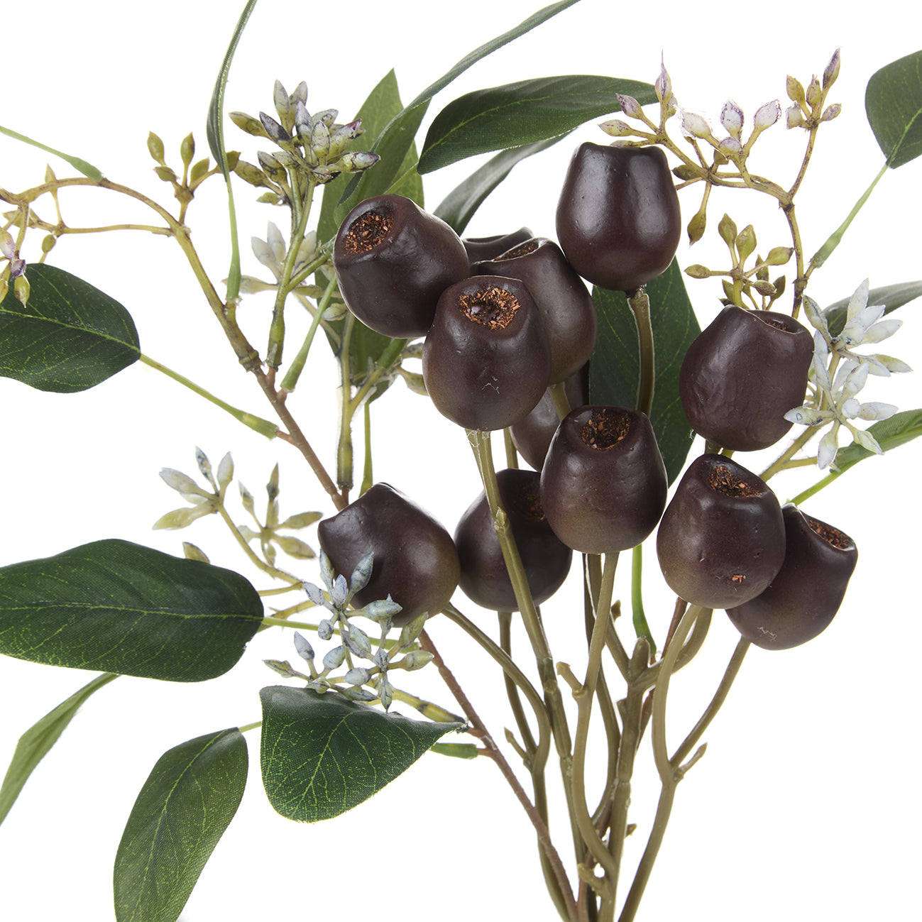 Eucalyptus Gum Nut Spray