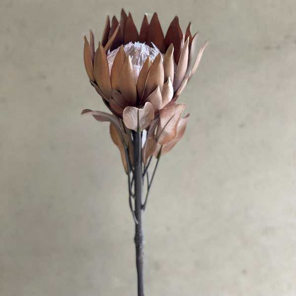 Dried look protea - faux flower