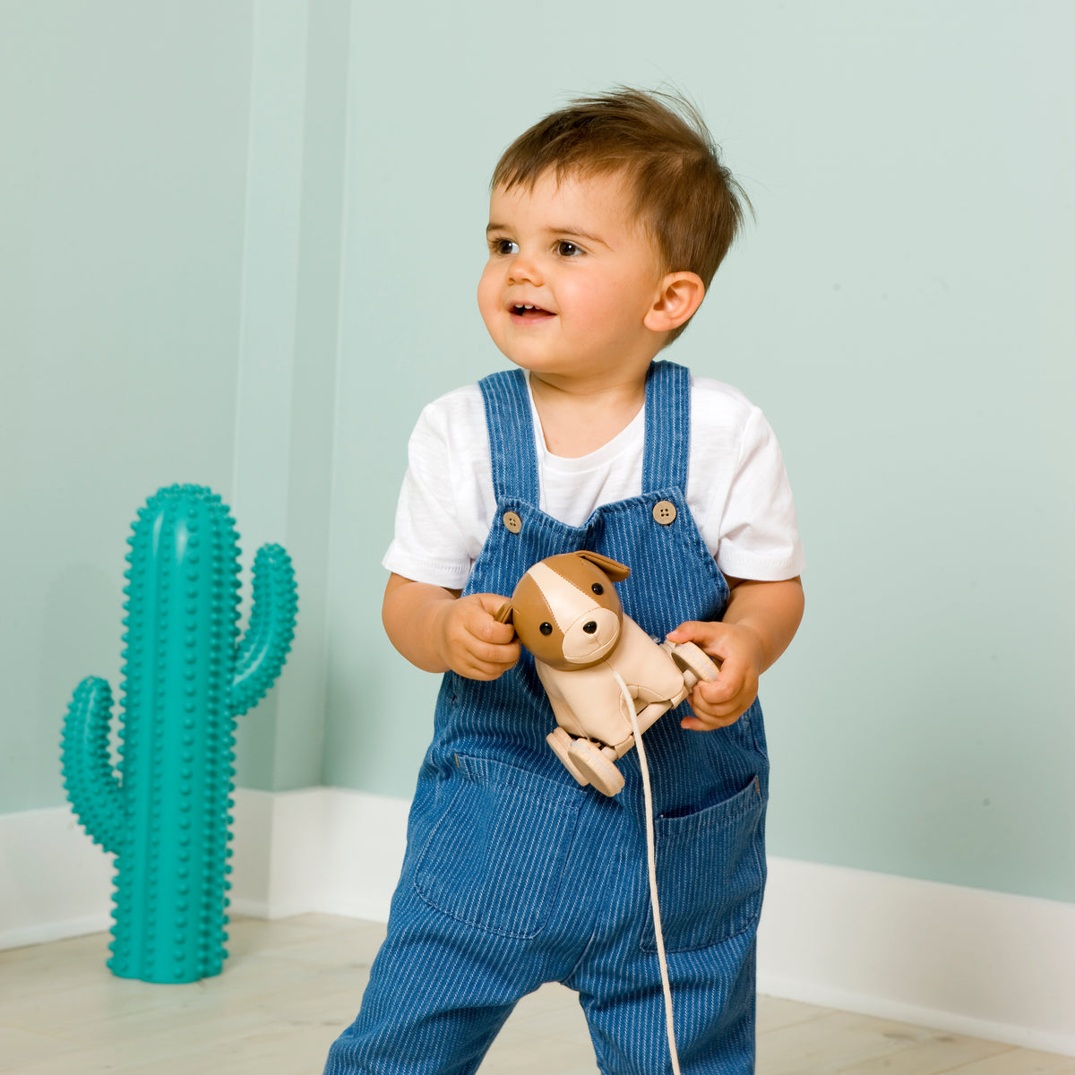 Adrien the Dog Pull Along Toy