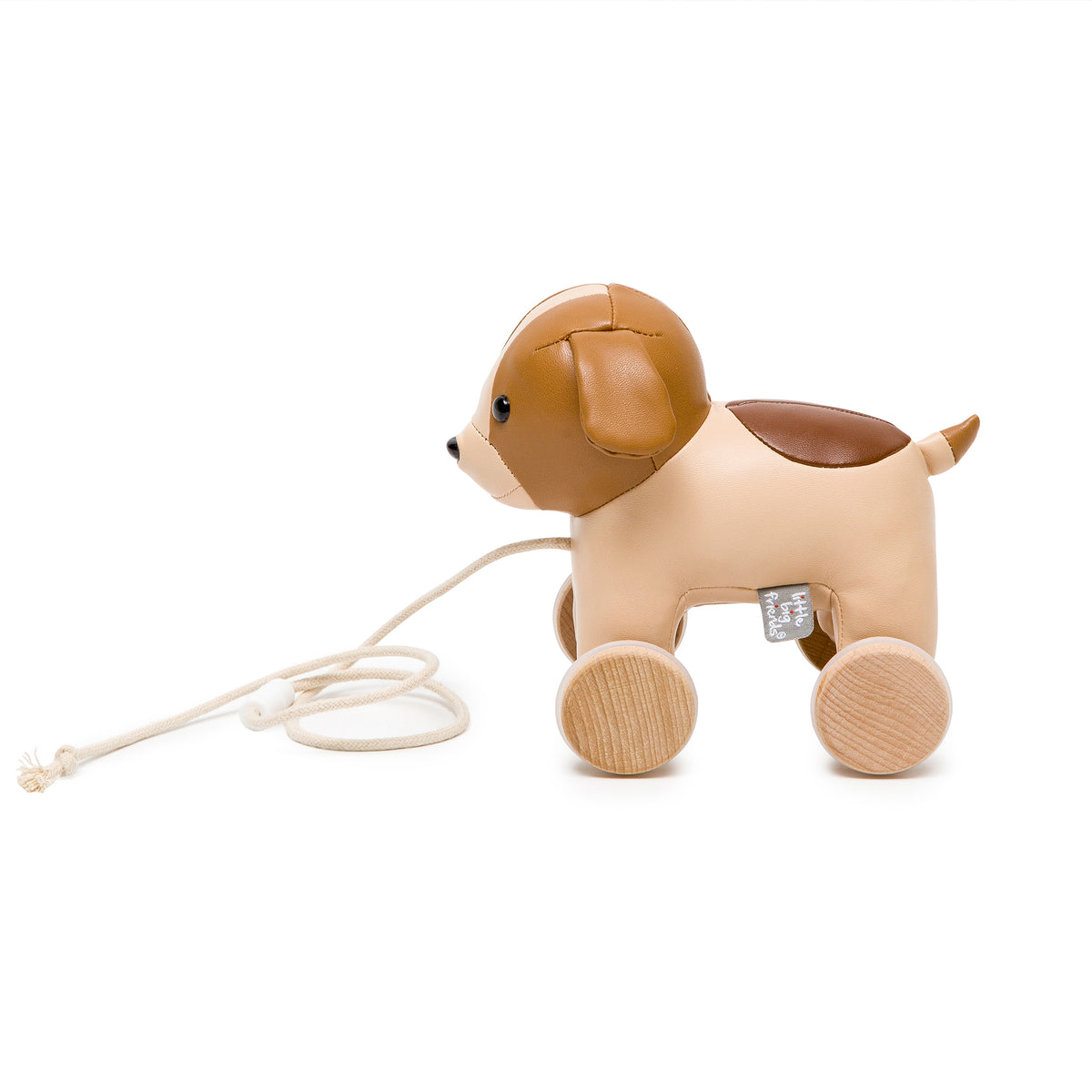 Adrien the Dog Pull Along Toy