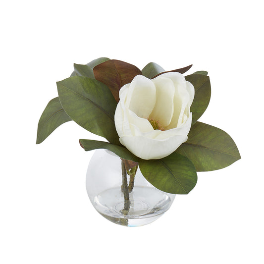White Magnolia in Sphere Vase