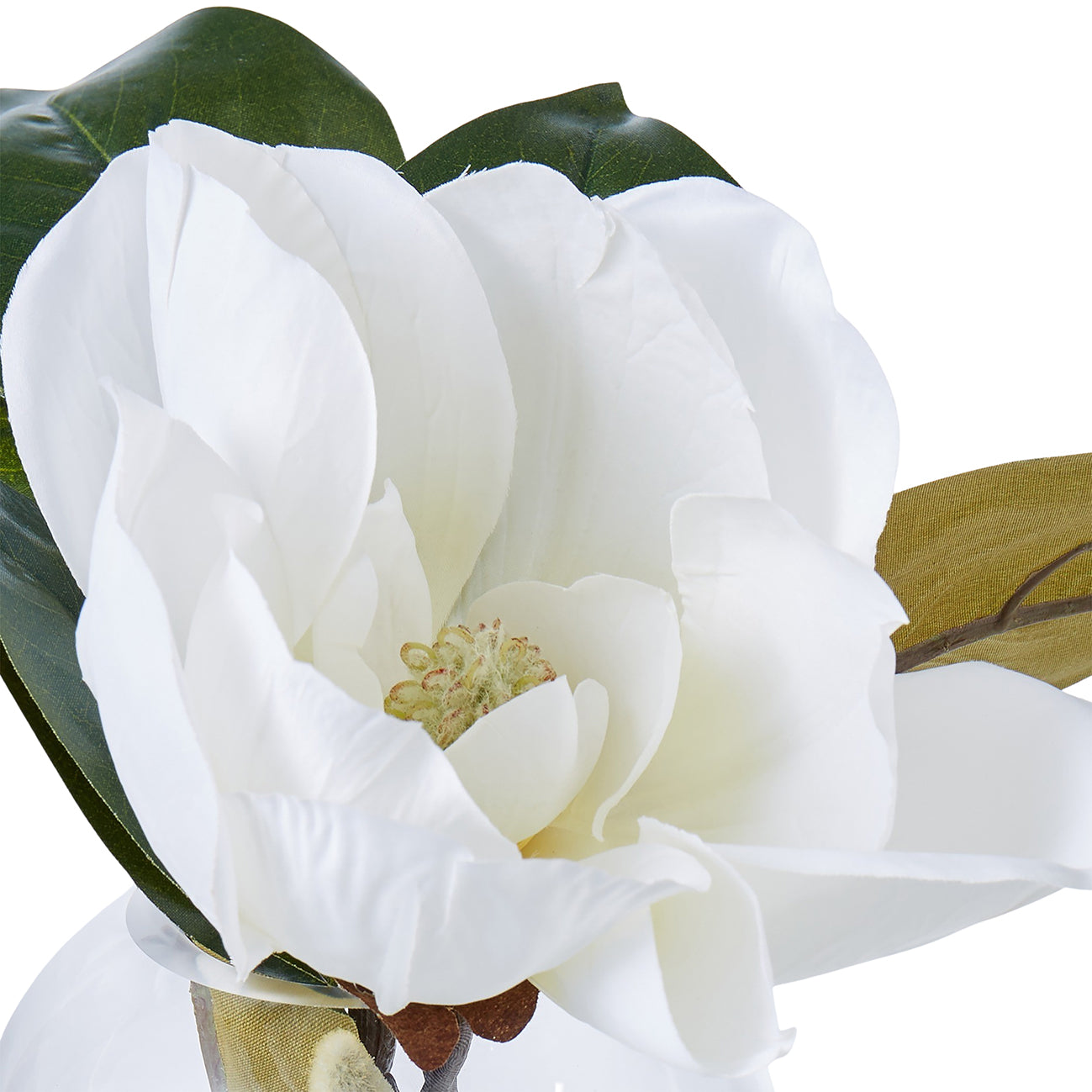 White Magnolia in Sphere Vase