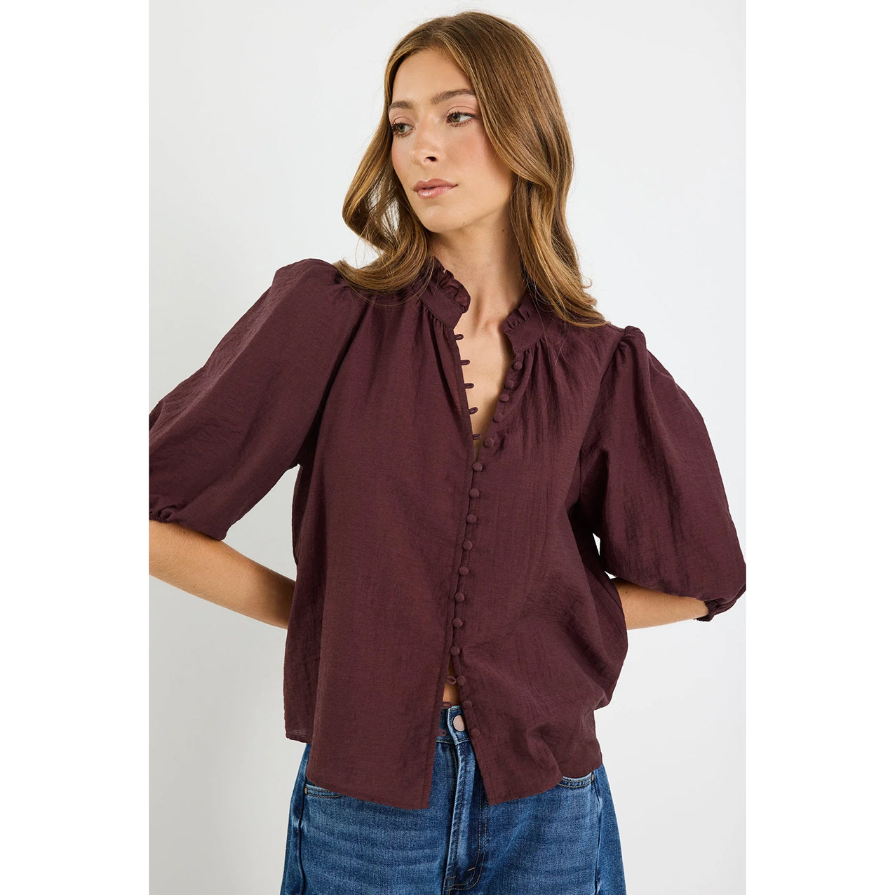 Continuance Chocolate Semi Sheer High Neck Buttoned SS Top