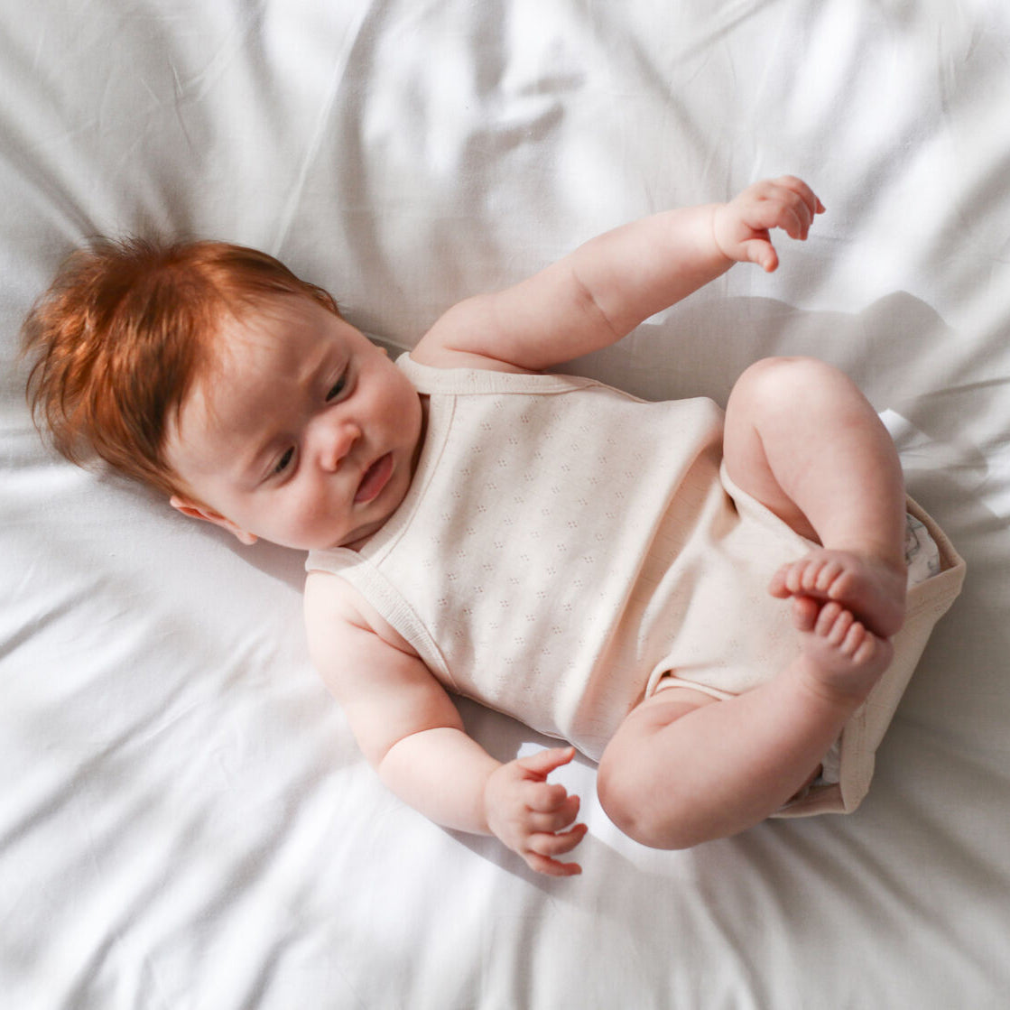 Pointelle Almond Blush Camisole Bodysuit