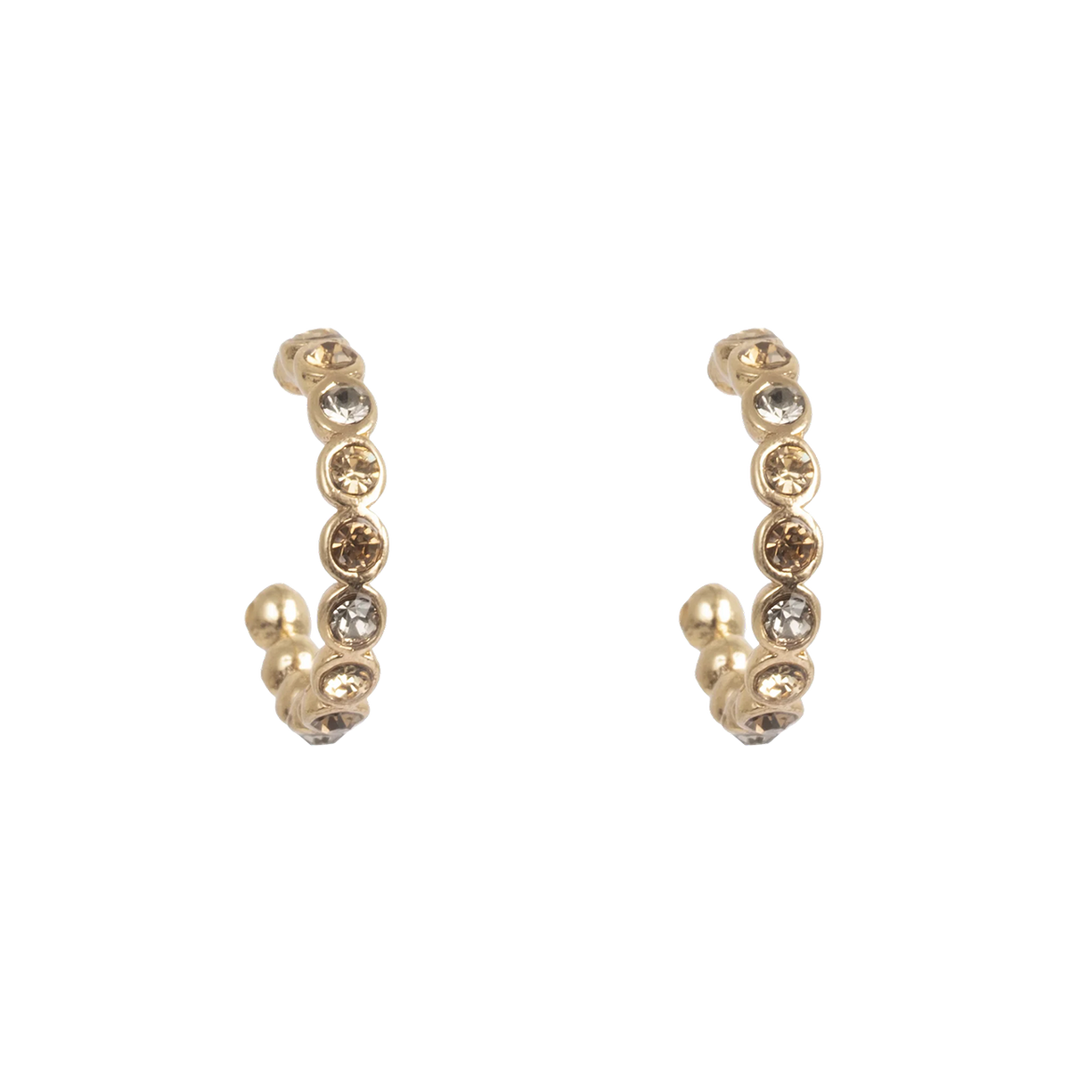 Glowing Tones Gold Earrings