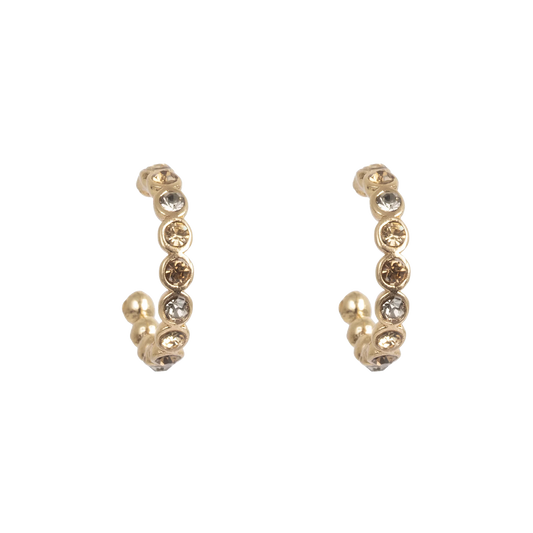 Glowing Tones Gold Earrings