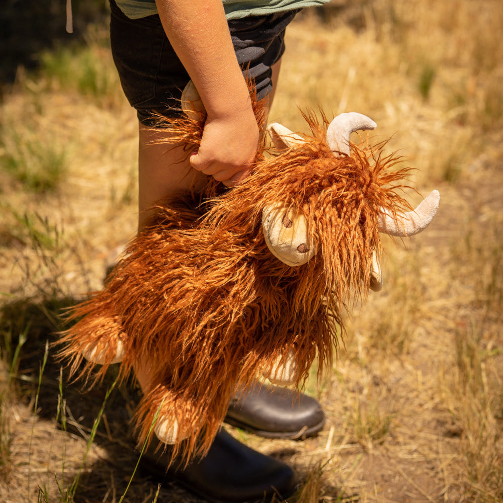 Henry the Highland Cow