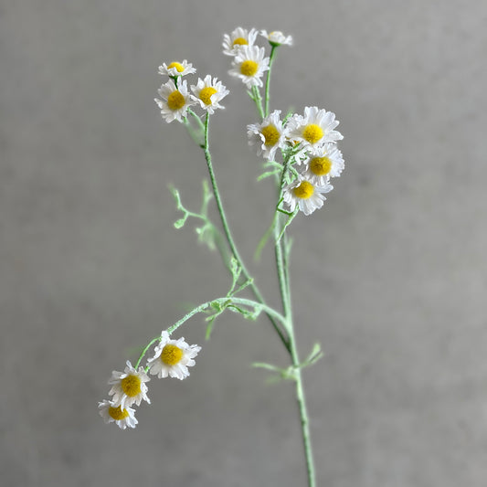 Mini Daisy Spray White 68cm