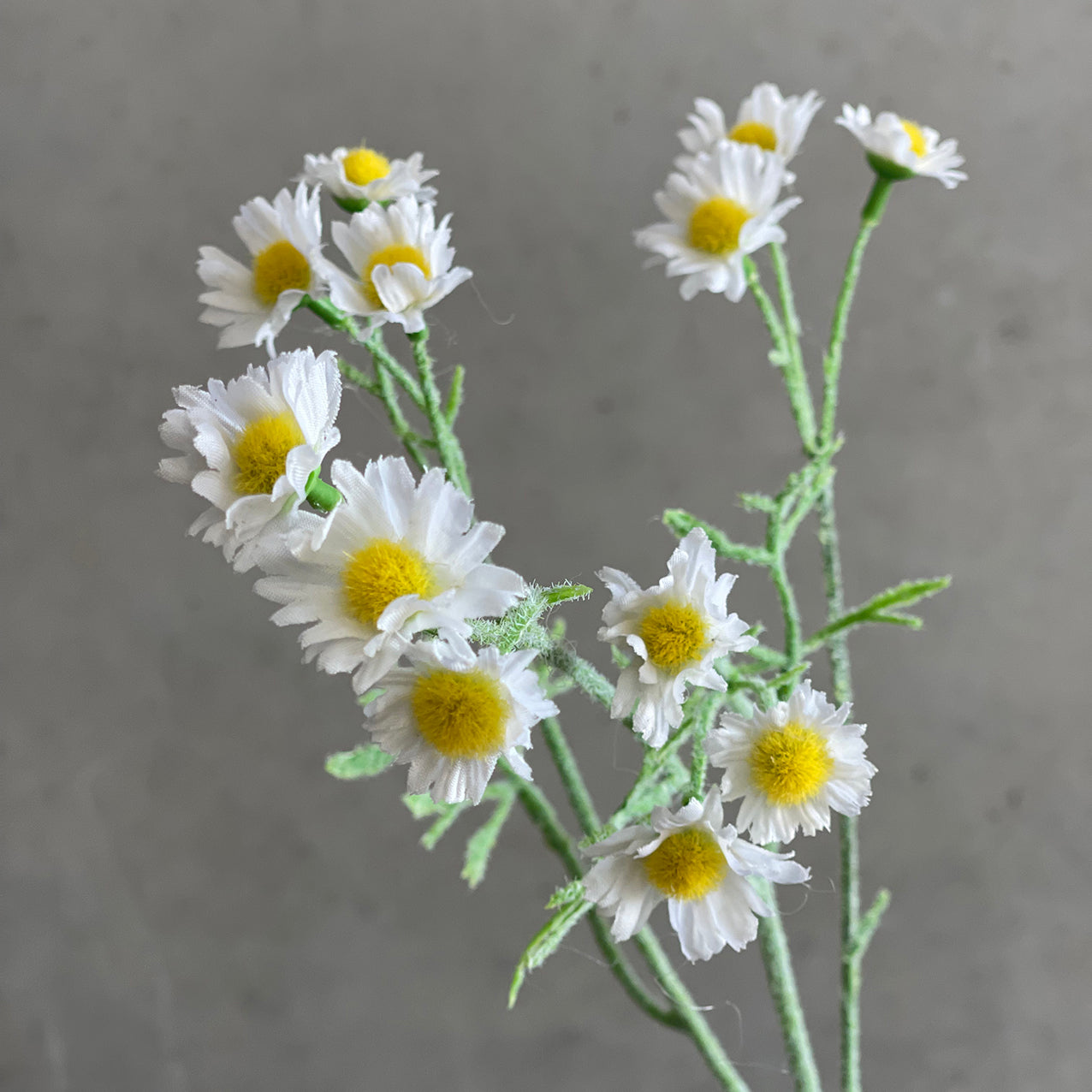 Mini Daisy Spray White 68cm