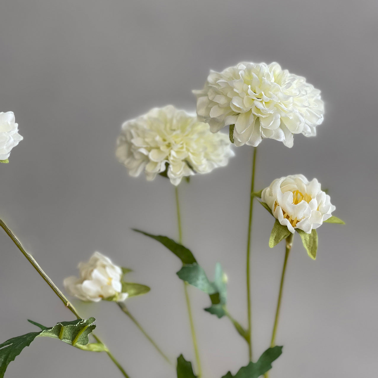 Pom Pom Mum Spray White 68cm