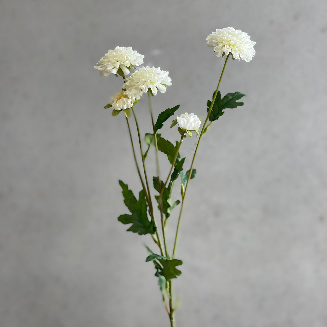 Pom Pom Mum Spray White 68cm