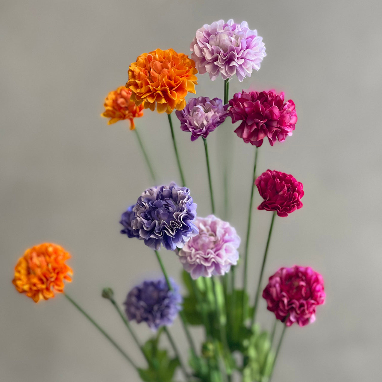 Pom Pom Spray 59cm