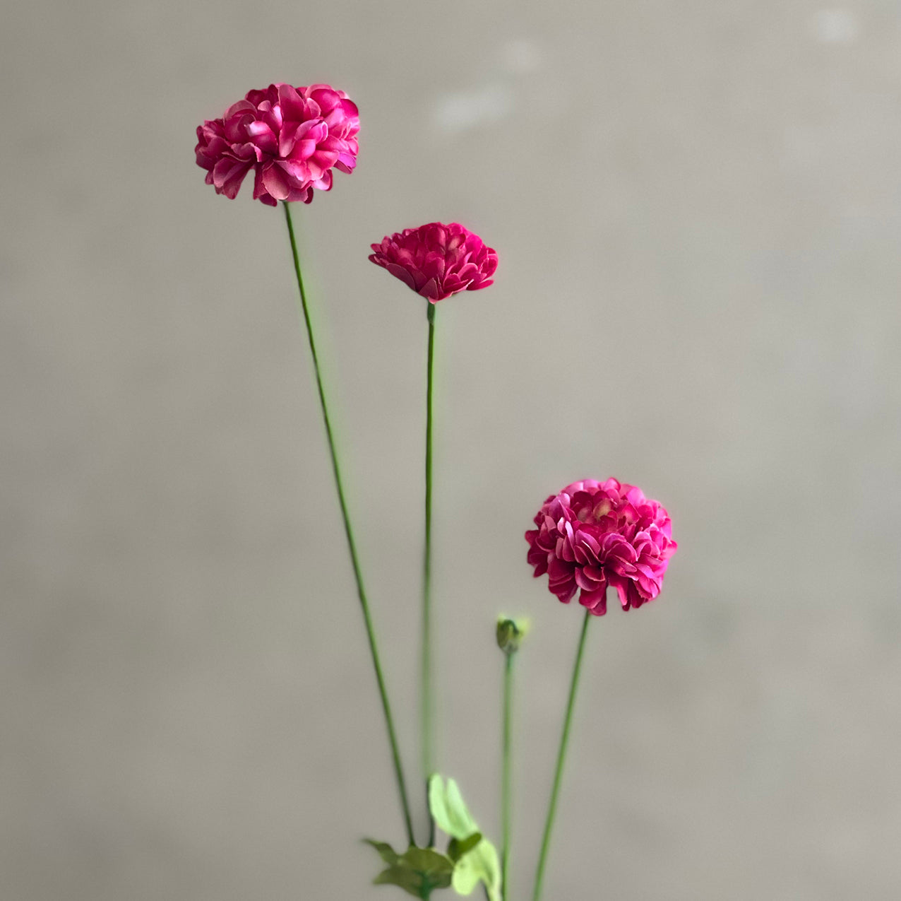 Pom Pom Spray 59cm