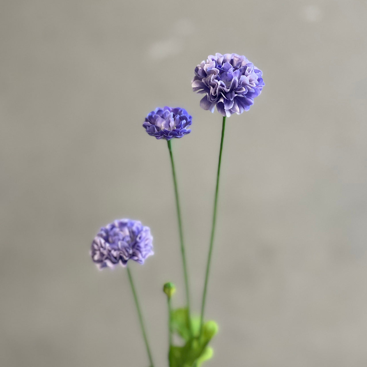 Pom Pom Spray 59cm