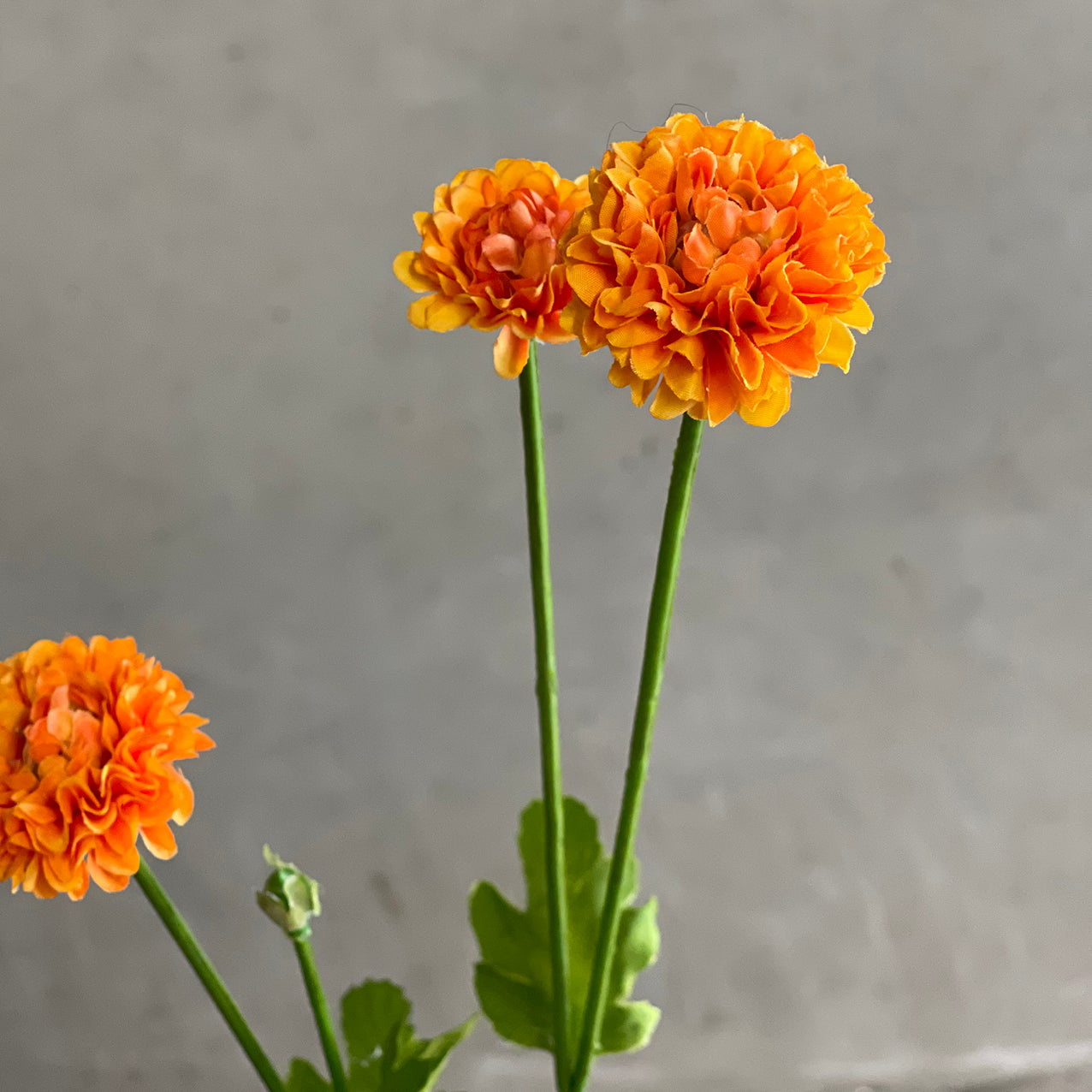 Pom Pom Spray 59cm