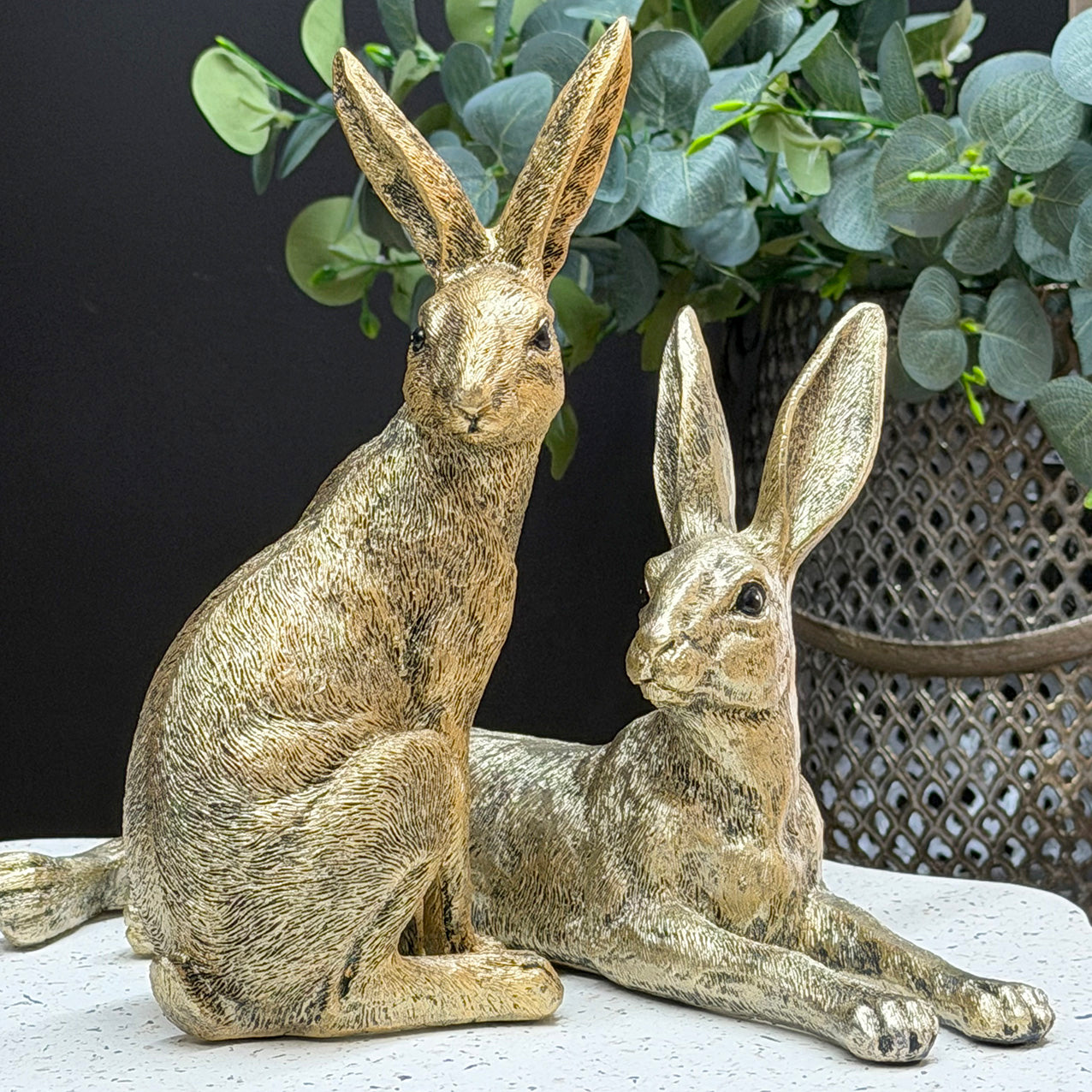 Gold Rabbit