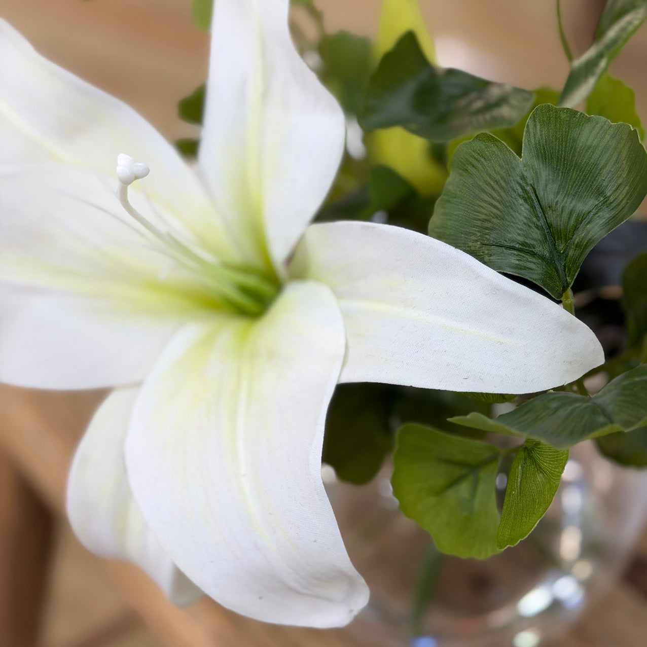 Casablanca Lily, Ginkgo & Phoebe Vase
