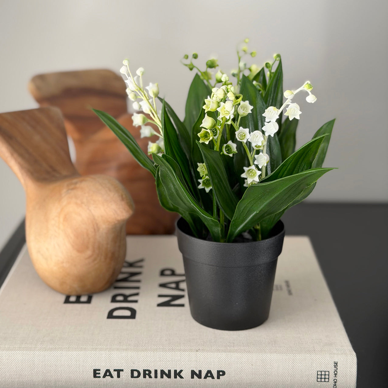 Lilly of the Valley Potted White
