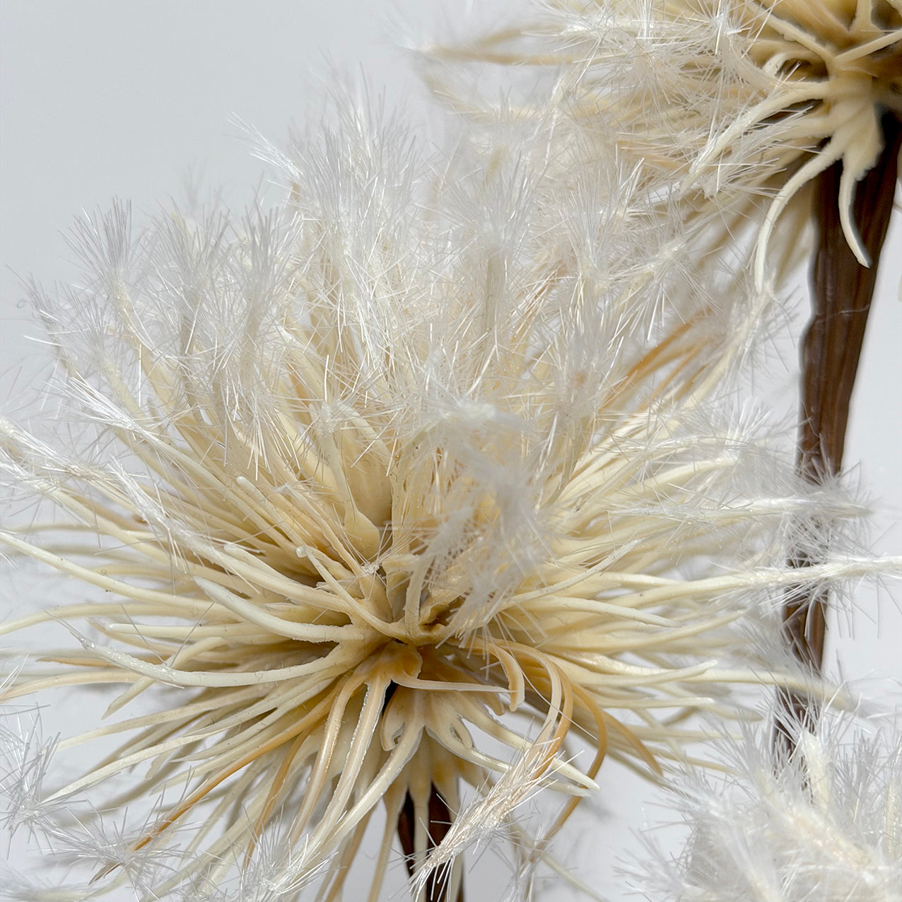 Dandelion Spray Natural/Brown 76cm