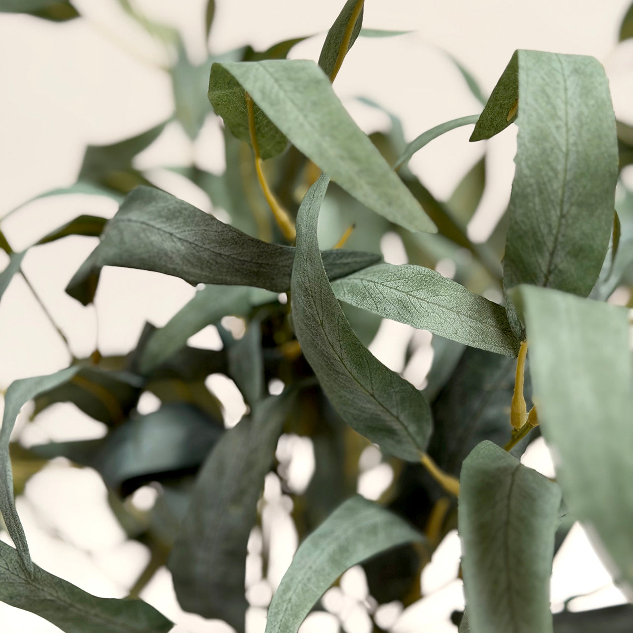 Eucalyptus Spray Bundle Grey-Green 96cm