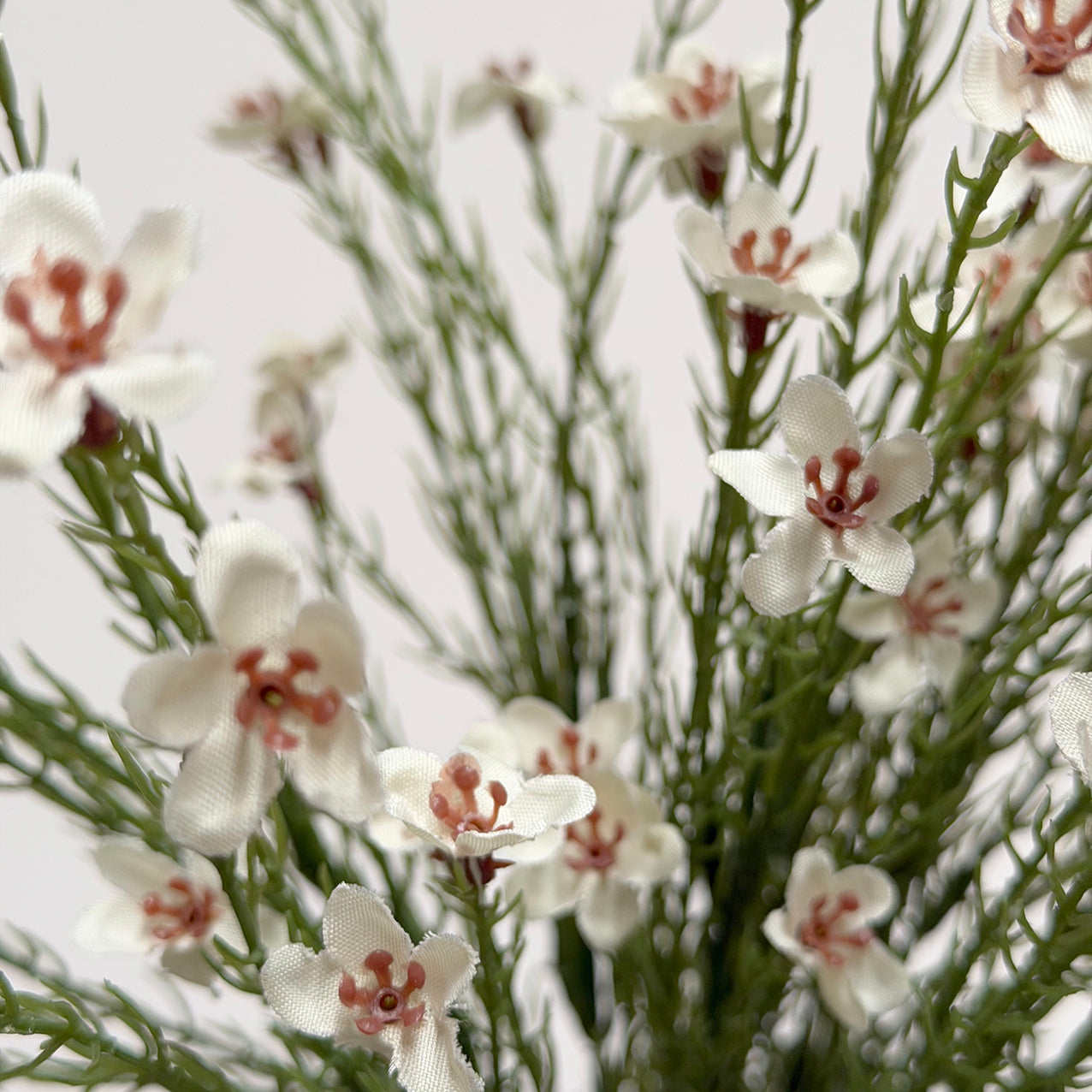 Wax Flower Bush Cream 40cm