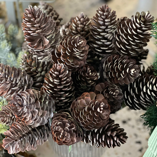 Pinecone Pick