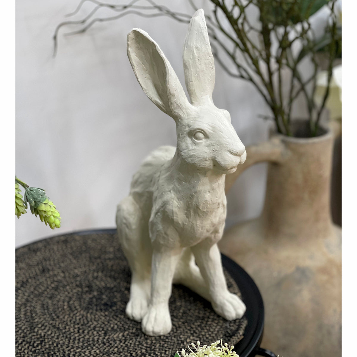 French Rabbit Sigma French White Rabbit – Arthaus NP