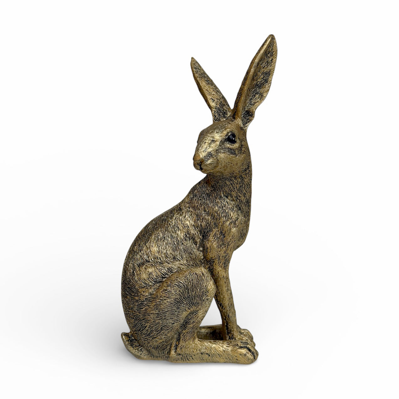 Gold Rabbit