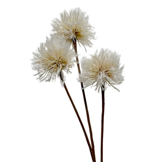 Dandelion Spray Natural/Brown 76cm
