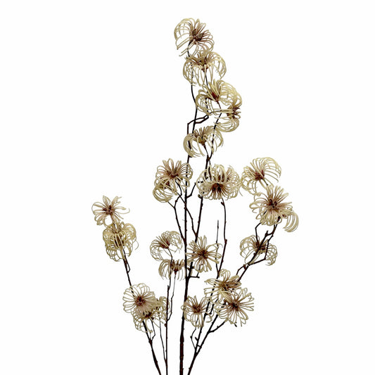 Wild Clematis Spray Cream 115cm