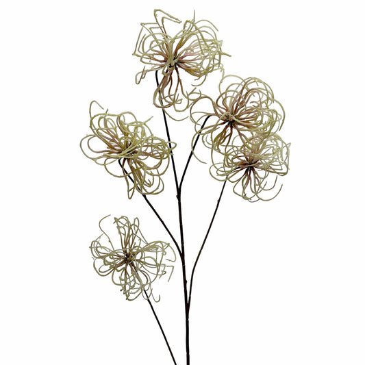 Clematis Seed Pod Spray Cream 94cm