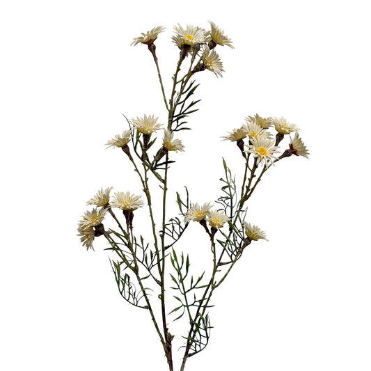 Daisy Spray Cream 89cm