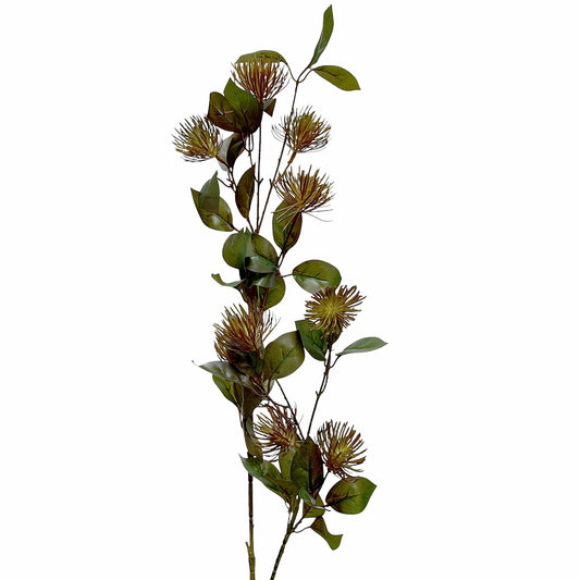 Leucospermum Spray Fall Grey 101cm
