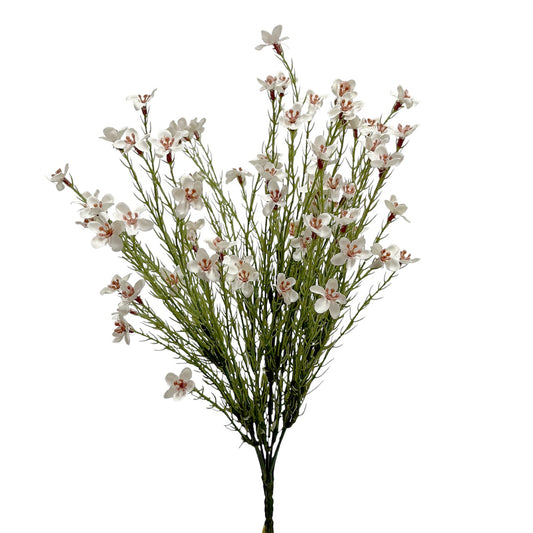 Wax Flower Bush Cream 40cm