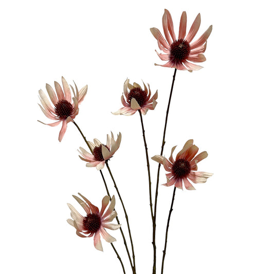 Rudbeckia Spray Dusky Pink 114cm
