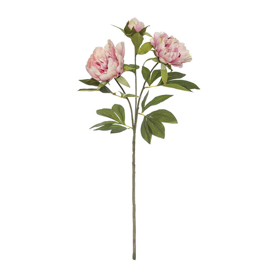 Peony Spray Pink 75cm