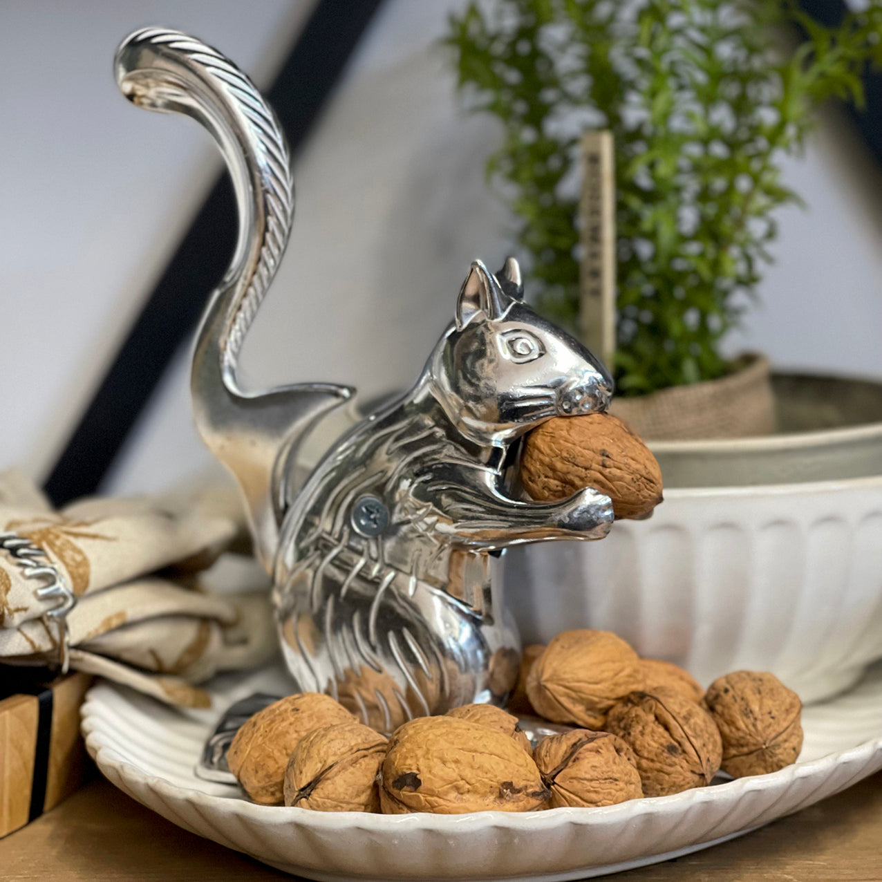 Squirrel Nut Cracker